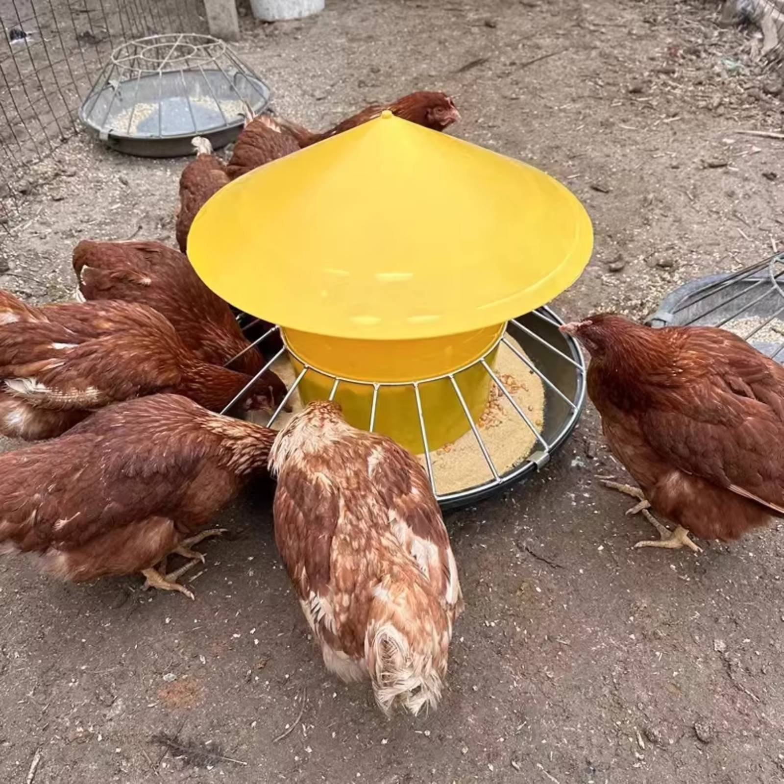 Round Fowl Feeder Large Capaci - Feeding ulasan dan harga