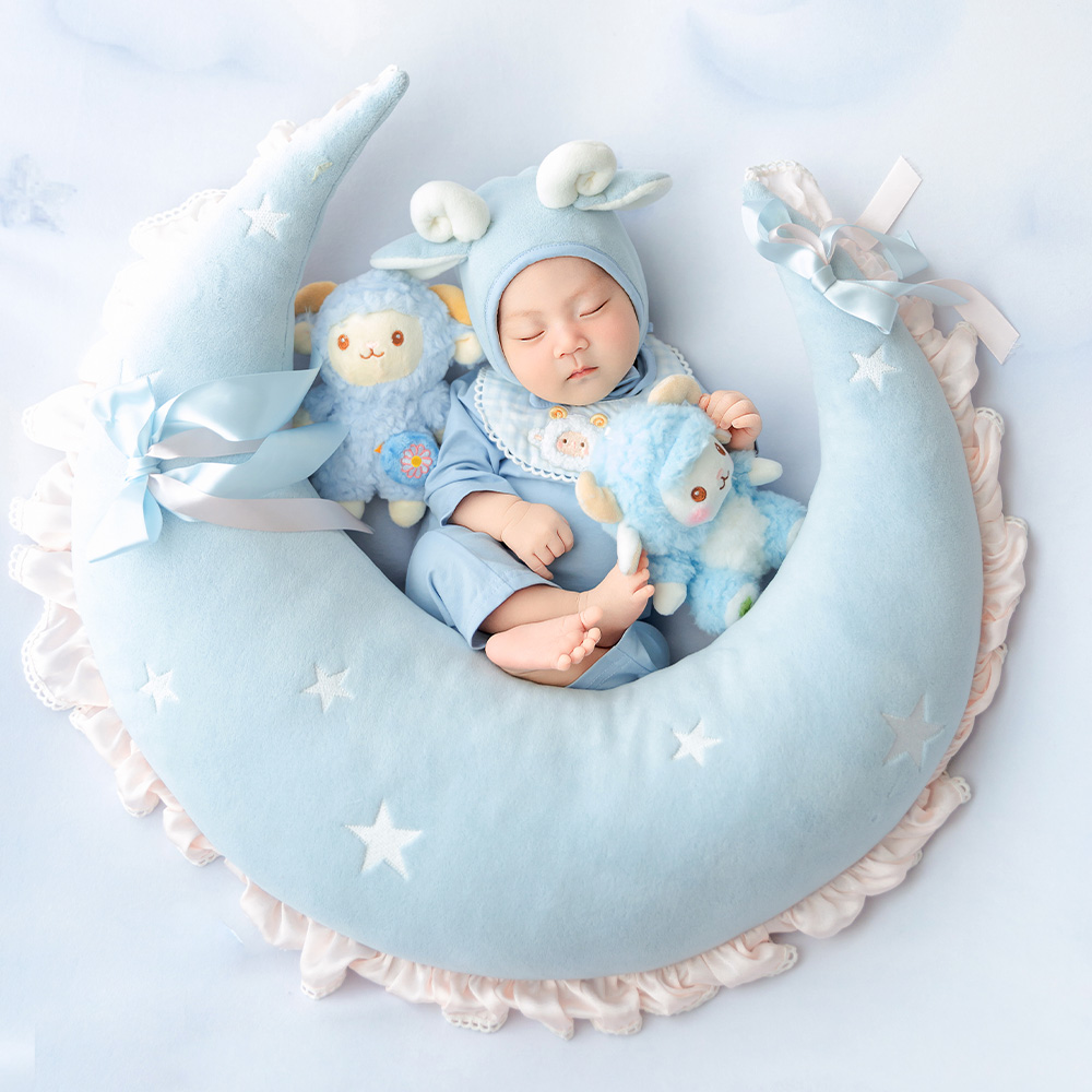 Blue Sheep Newborn Photography - Infant Photography Props Outfit ulasan dan harga