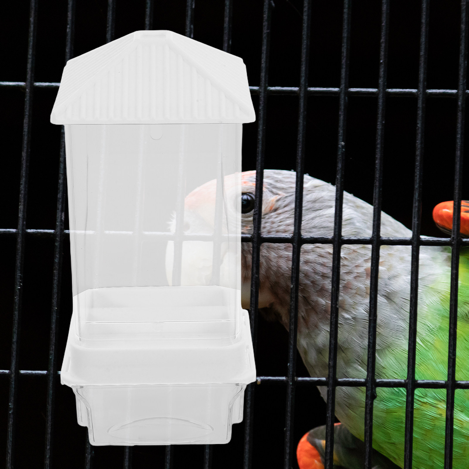 Automatic Bird Feeder Plastic  - Feeding ulasan dan harga