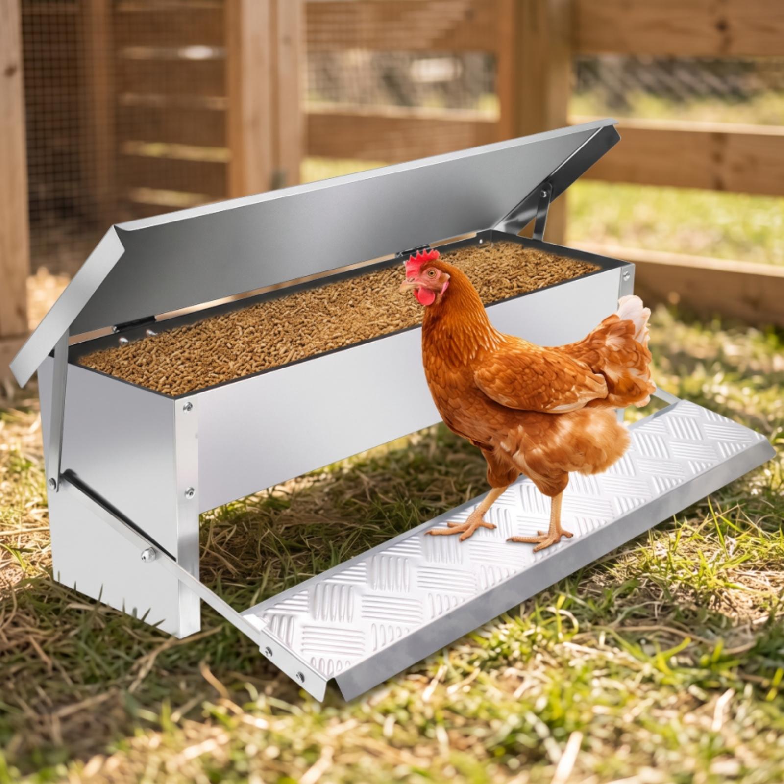 Automatic Poultry Feeder Troug - Feeding ulasan dan harga